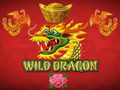500 Casino screenshot
